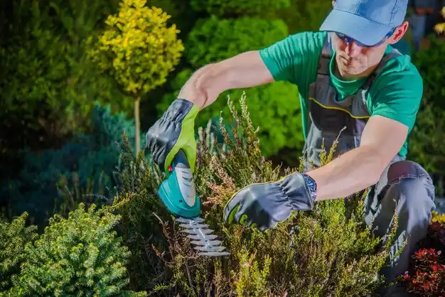 landscaping services Yazoo City